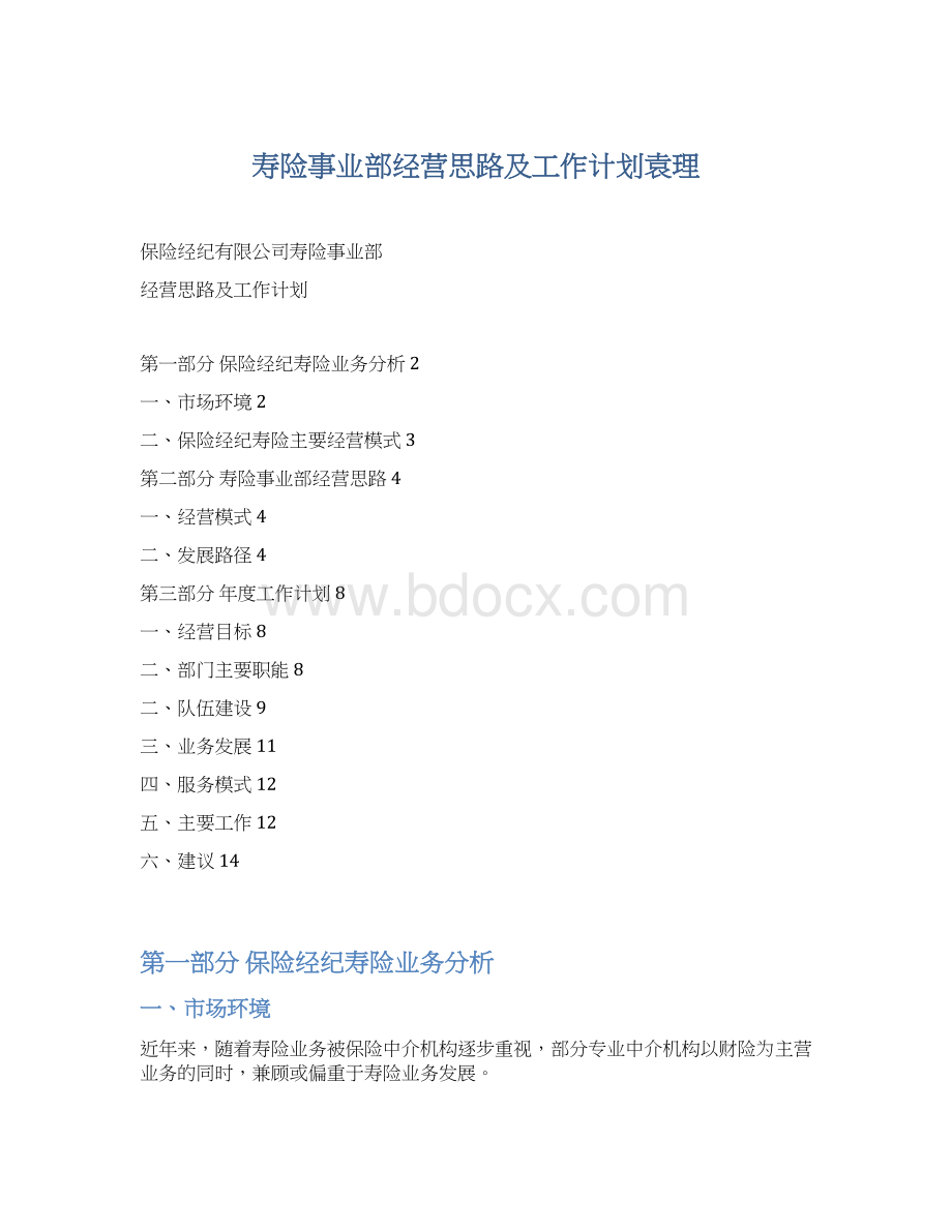 寿险事业部经营思路及工作计划袁理.docx