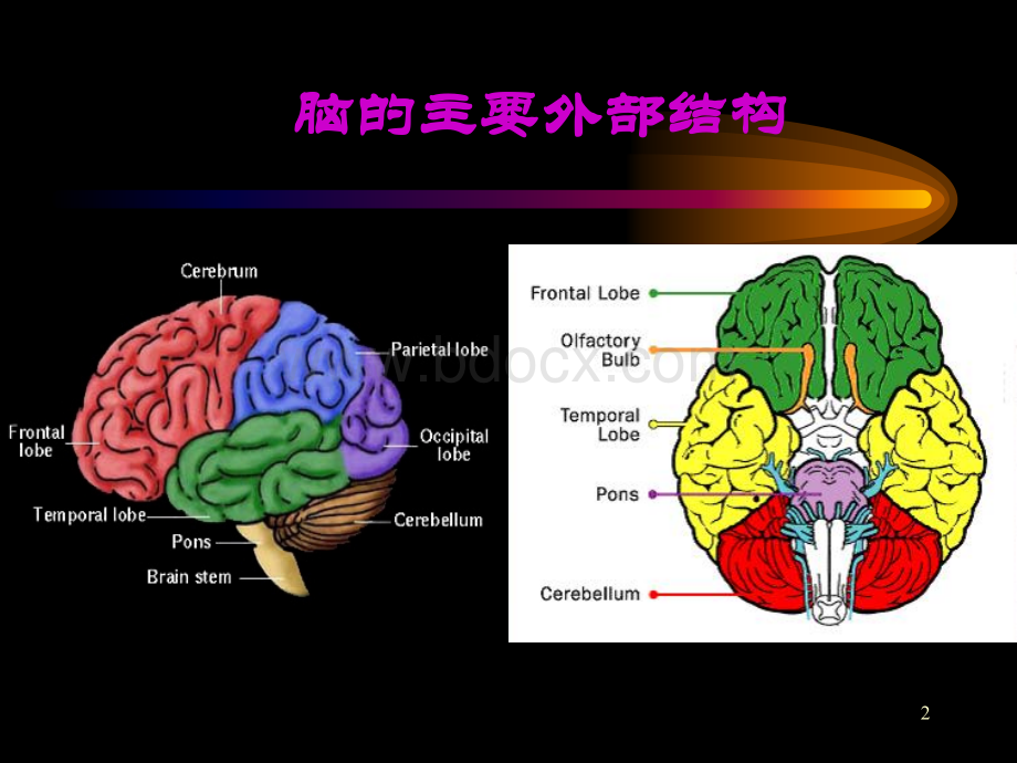 神经系统核医学显像.ppt_第2页