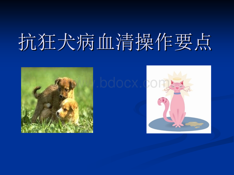 抗狂犬病血清操作要点PPT格式课件下载.ppt