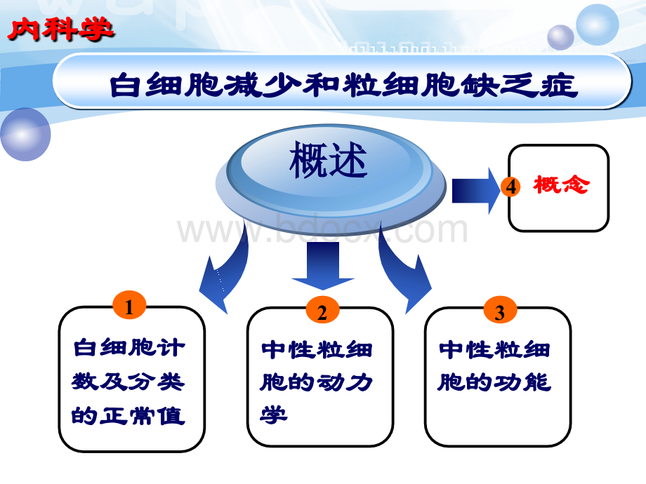 白细胞减少和粒缺优质PPT.ppt_第3页