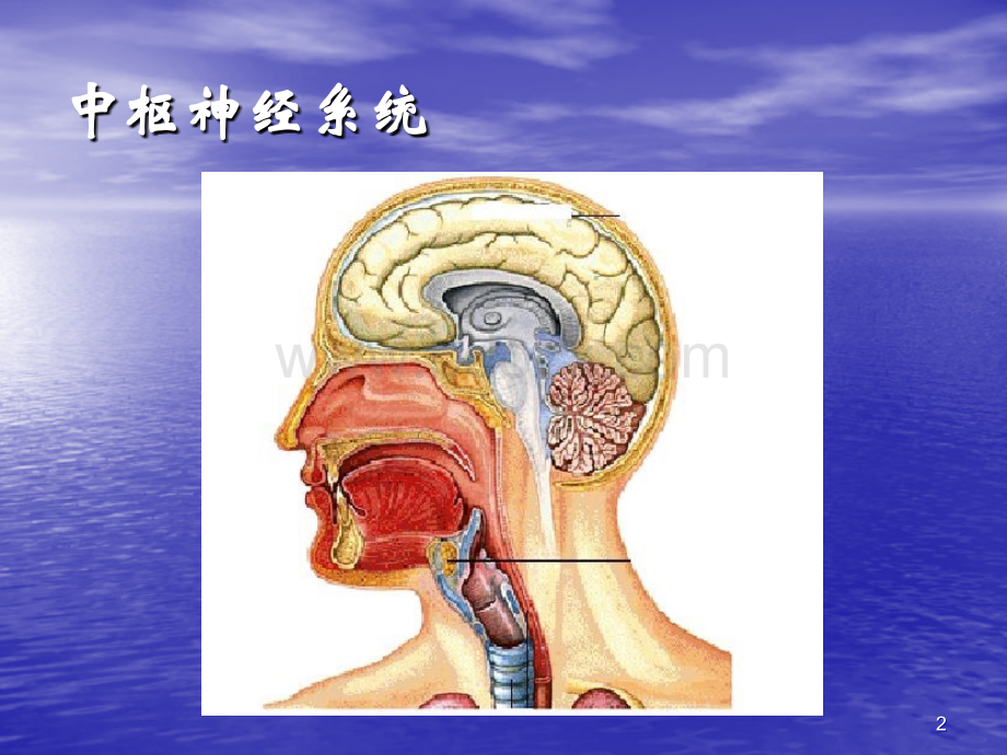 药物化学镇静催眠药_精品文档.ppt_第2页