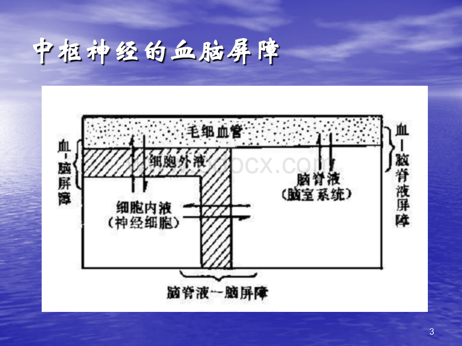 药物化学镇静催眠药_精品文档.ppt_第3页