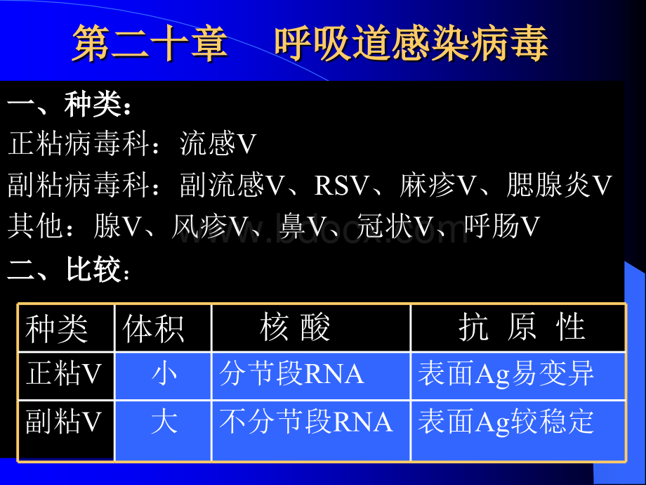 20呼吸道感染病毒PPT推荐.ppt