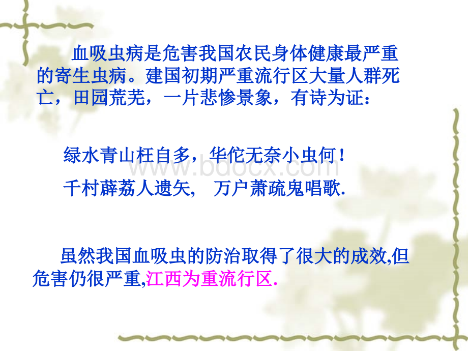 血吸虫绦虫_精品文档.ppt_第2页