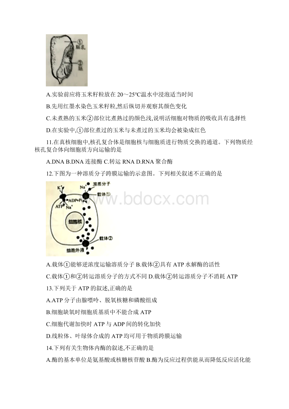 山东省五莲县届高三年级模块诊断性测试生物试题及答案Word文档格式.docx_第3页