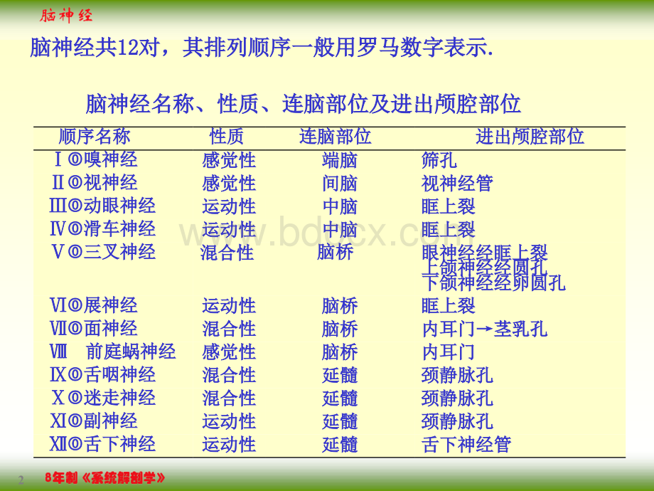 系统解剖学18-2脑神经PPT文档格式.ppt_第2页