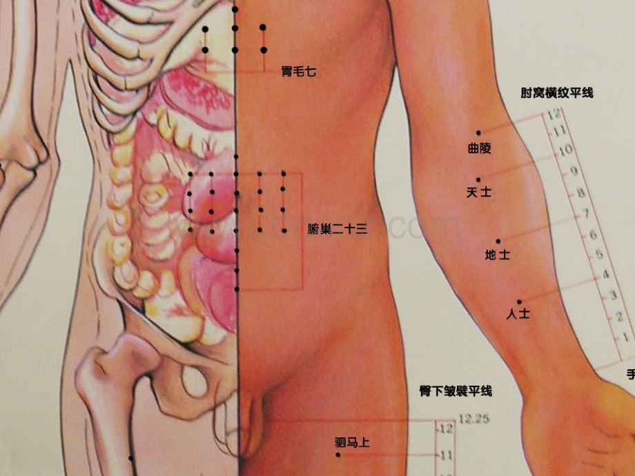 董氏奇穴详解图文_精品文档资料下载.pdf_第3页