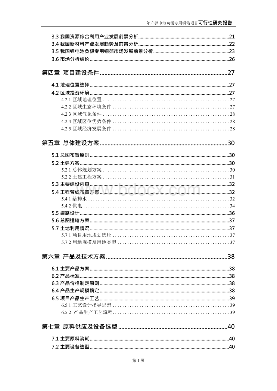 锂电池负极专用铜箔项目可行性研究报告（建议书模板）.docx_第3页