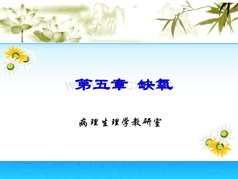 病理生理学缺氧PPT推荐.ppt