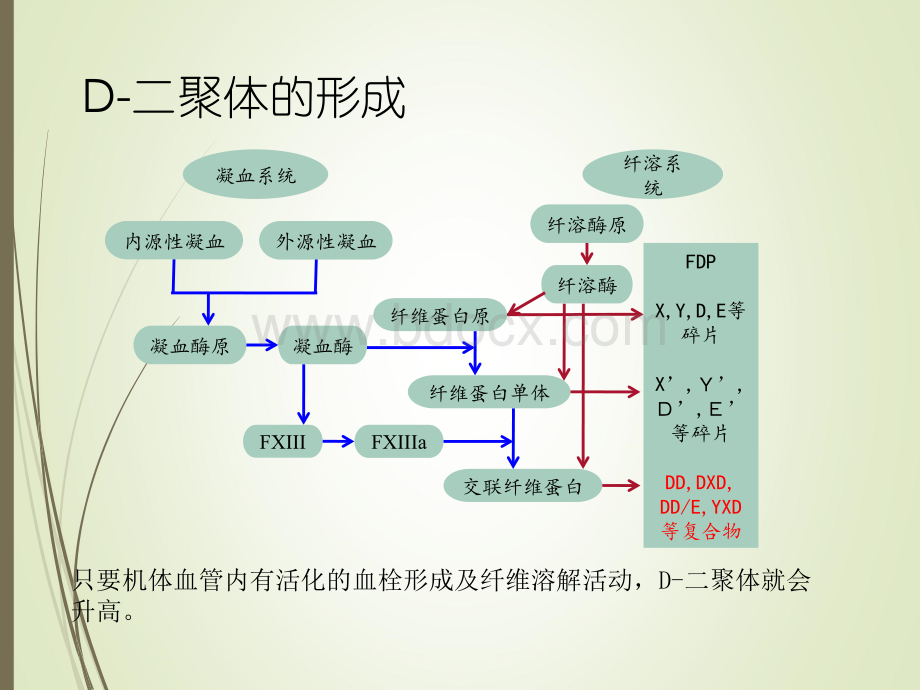 凝血与炎症标志物.pptx_第2页