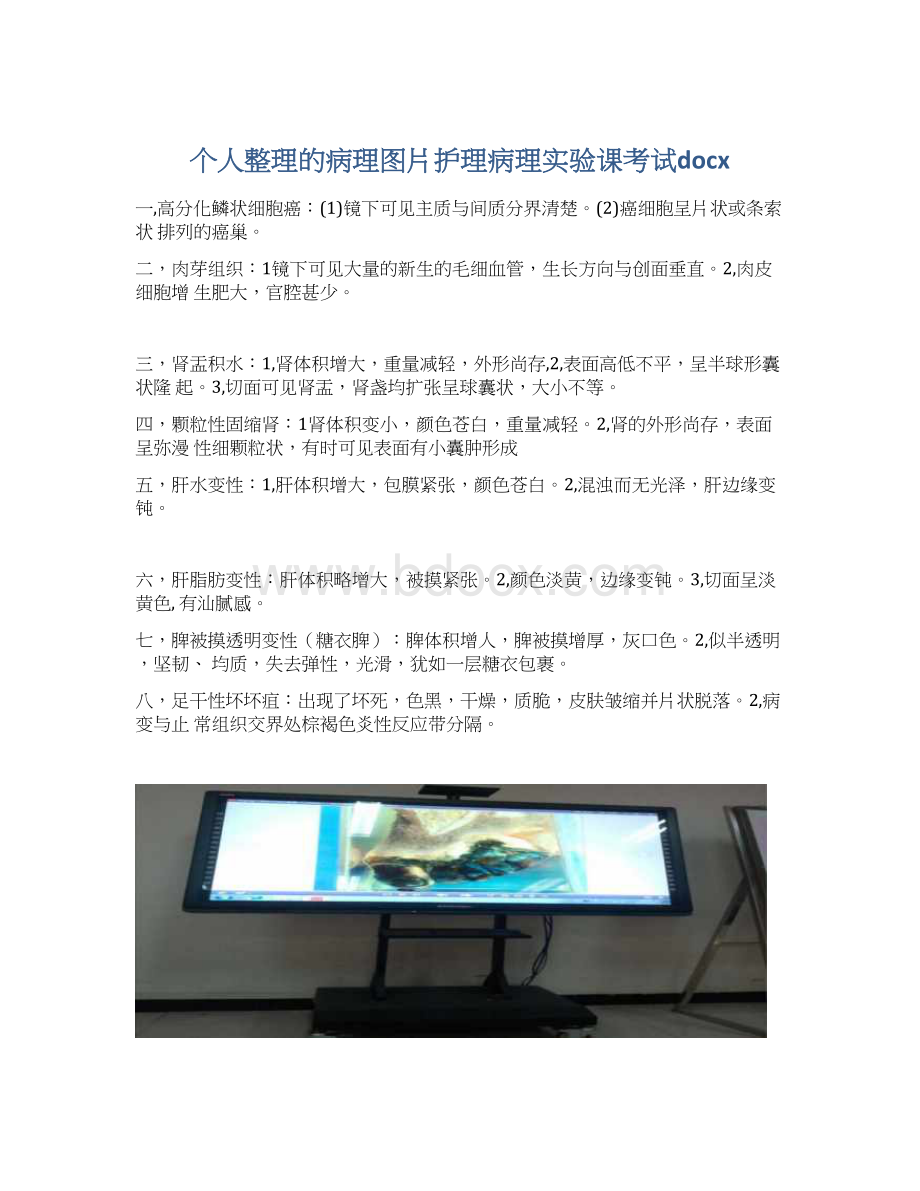 个人整理的病理图片护理病理实验课考试docxWord文档格式.docx