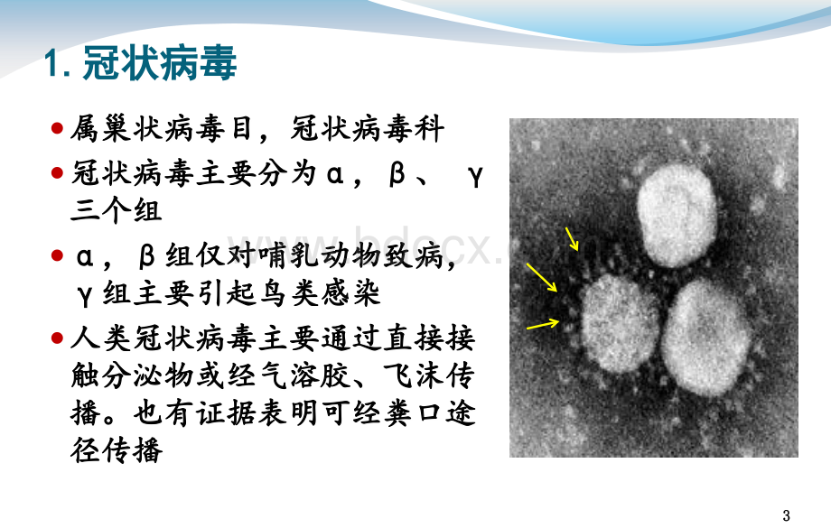 中东呼吸综合征疫情形势及防控措施.ppt_第3页