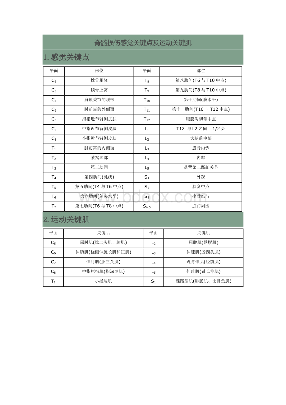 脊髓损伤感觉关键点及运动关键肌_精品文档.doc_第1页