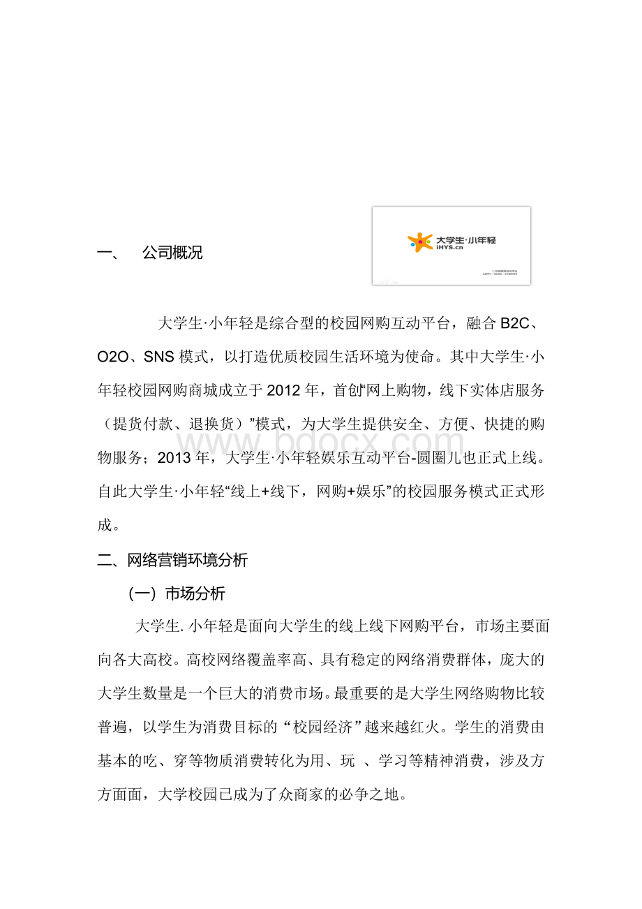 网络营销策划案——毕业论文.doc_第2页