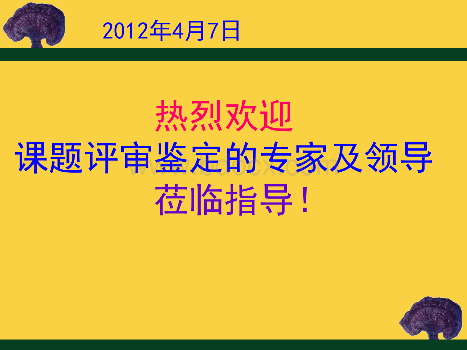 中医证候学的临床研究结题汇报.ppt_第1页