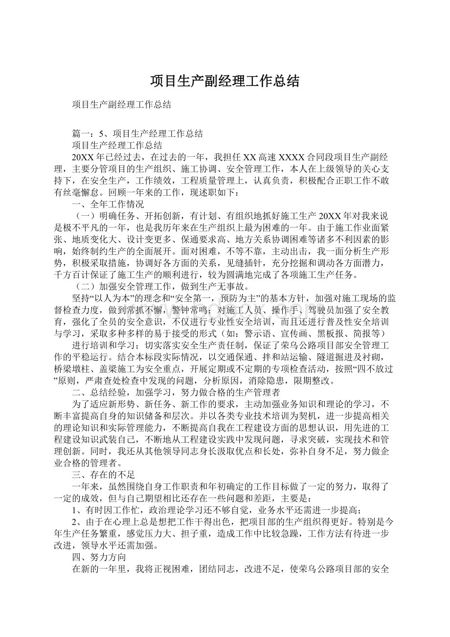 项目生产副经理工作总结文档格式.docx