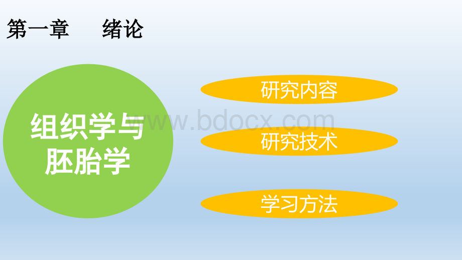 组织学与胚胎学绪论PPT文件格式下载.pptx_第2页