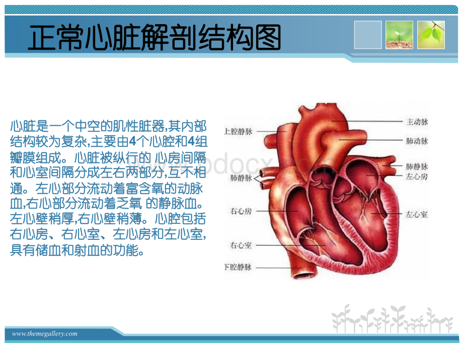 先心-室间隔缺损护理查房PPT资料.ppt_第2页