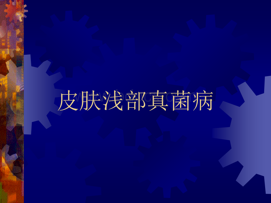 感染性皮肤病2.ppt_第1页