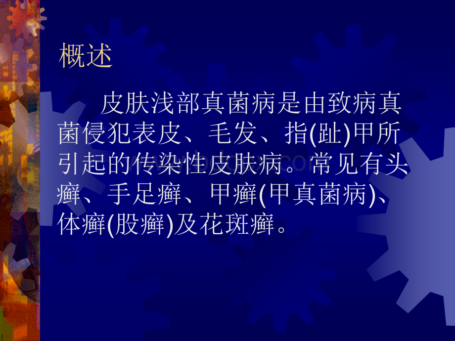 感染性皮肤病2.ppt_第2页