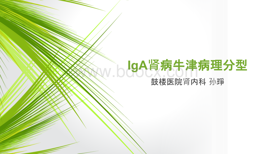 IgA肾病牛津分型.ppt_第1页