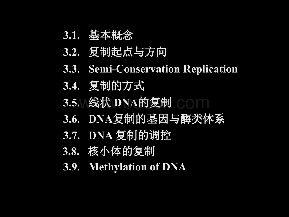 第2章 DNA的复制优质PPT.ppt_第2页