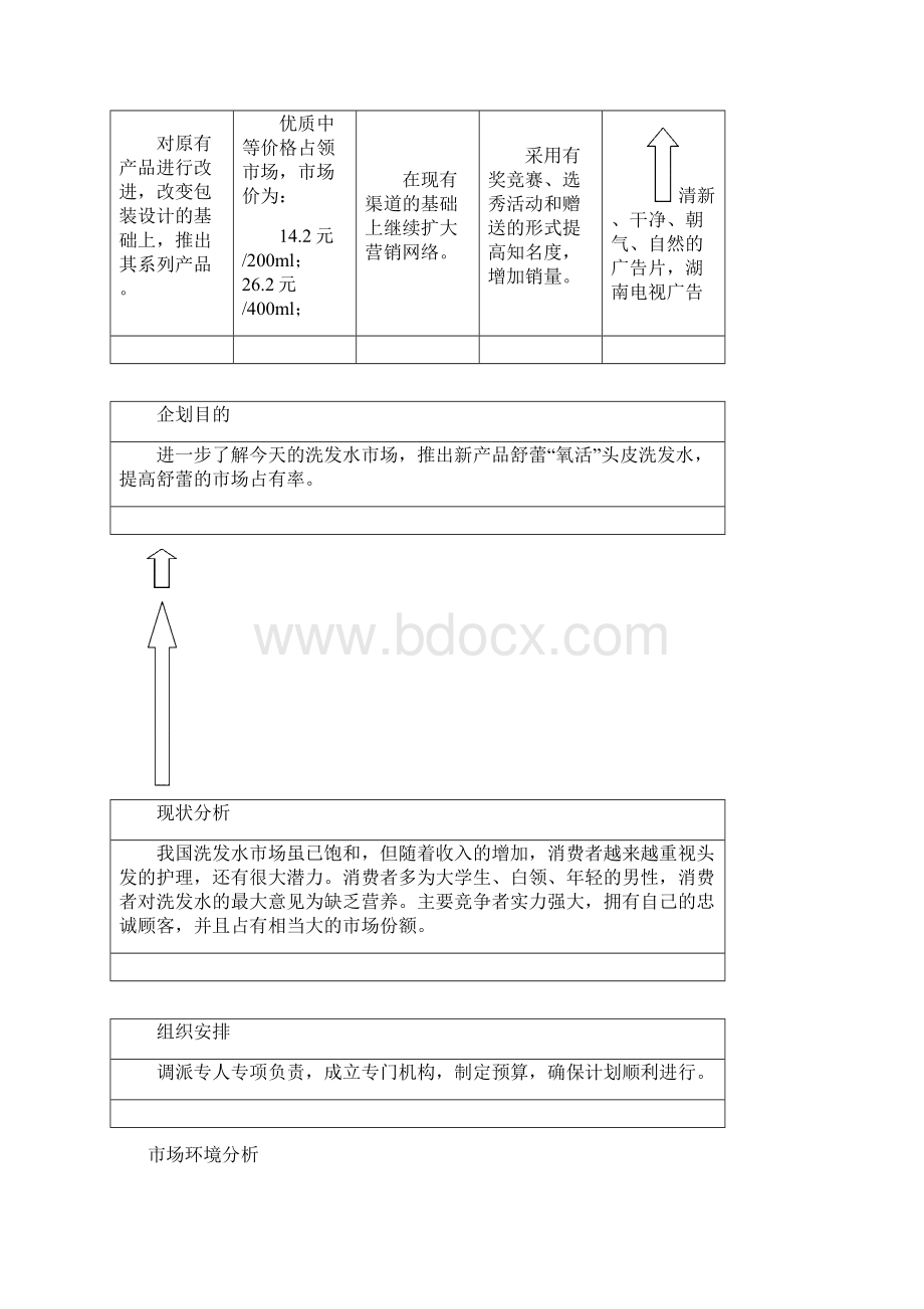 XX品牌洗发水市场营销企业规划书.docx_第3页