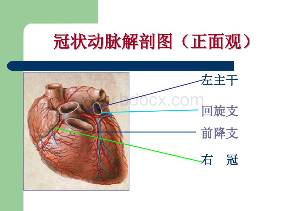 冠心病的危险因素与健康教育优质PPT.ppt_第2页