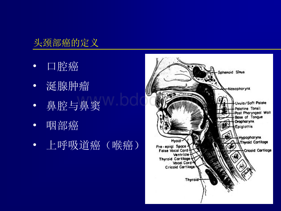 头颈部癌的放射治疗优质PPT.ppt_第2页