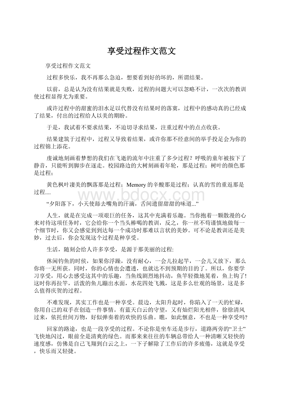 享受过程作文范文Word格式文档下载.docx