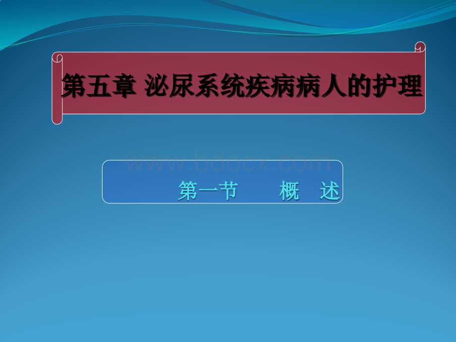 泌尿概述精品文档PPT推荐.pptx