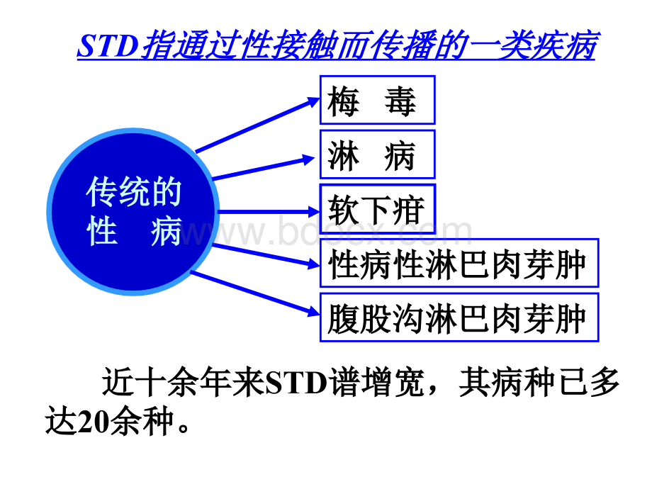 性病淋病PPT文档格式.ppt_第3页