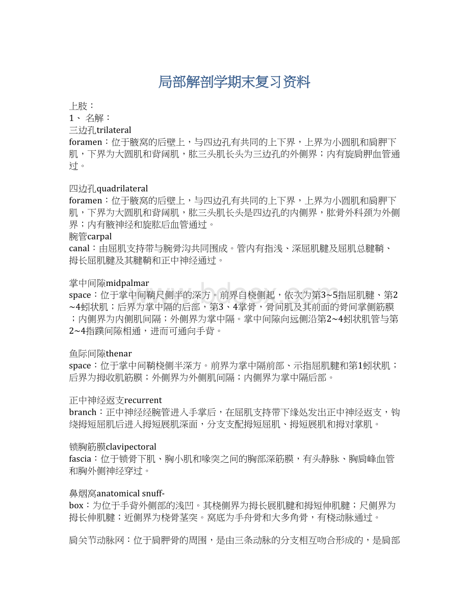 局部解剖学期末复习资料Word格式文档下载.docx