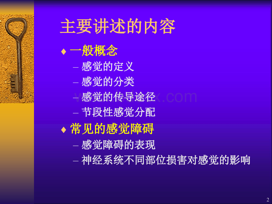 感觉功能的评定.ppt_第2页