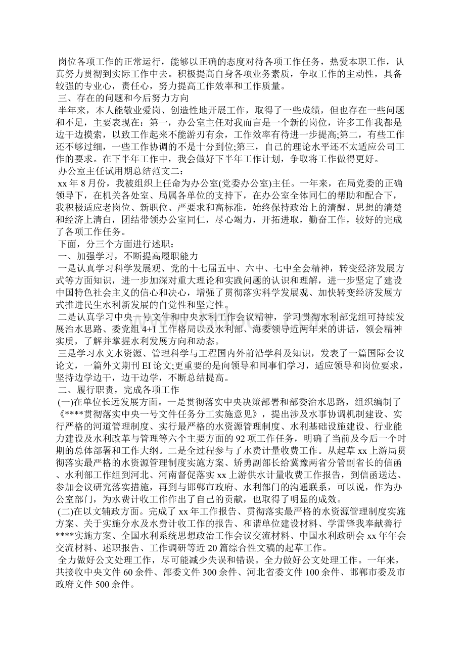 办公室主任试用期总结Word文档格式.docx_第2页