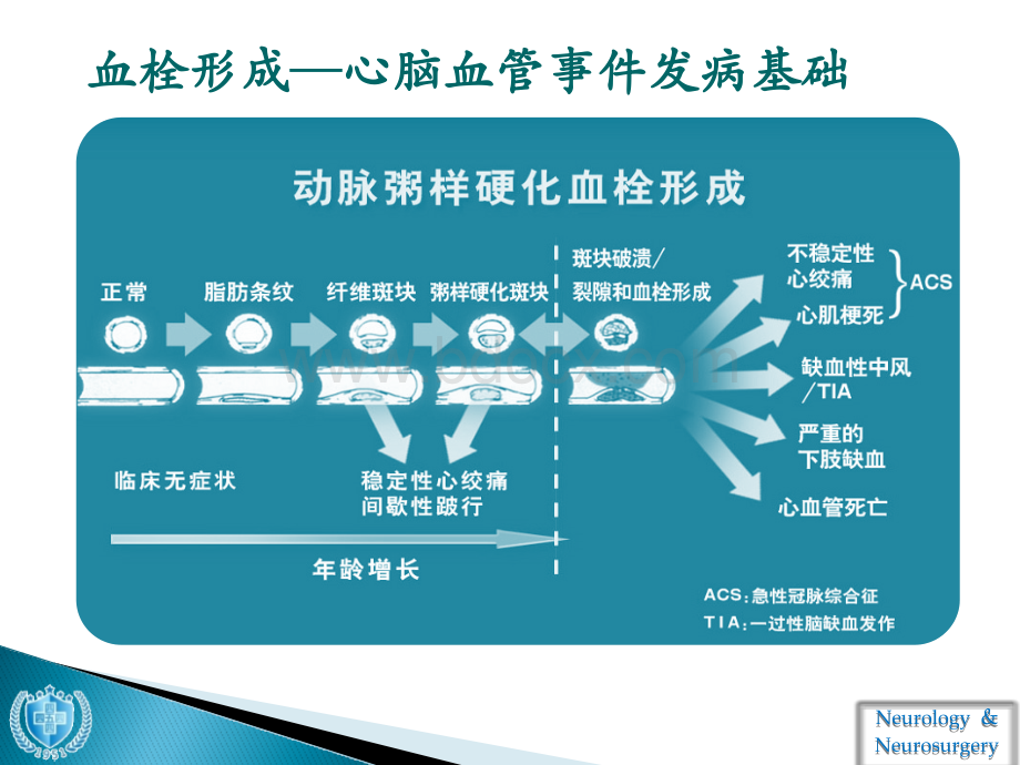 抗血小板药物使用PPT文档格式.pptx_第3页