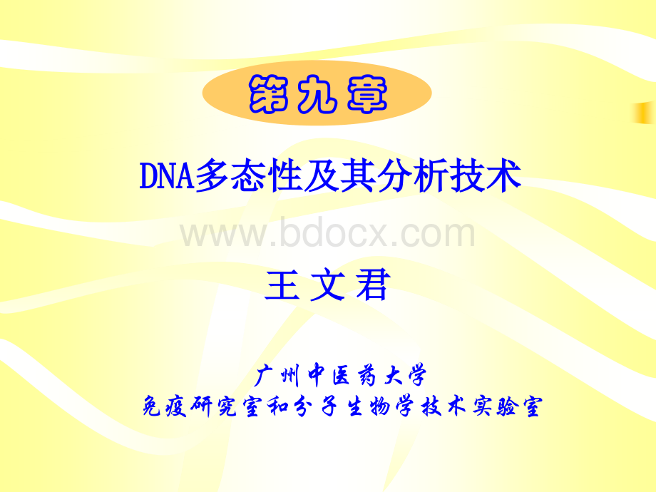 9DNA多态性及其分析技术优质PPT.ppt