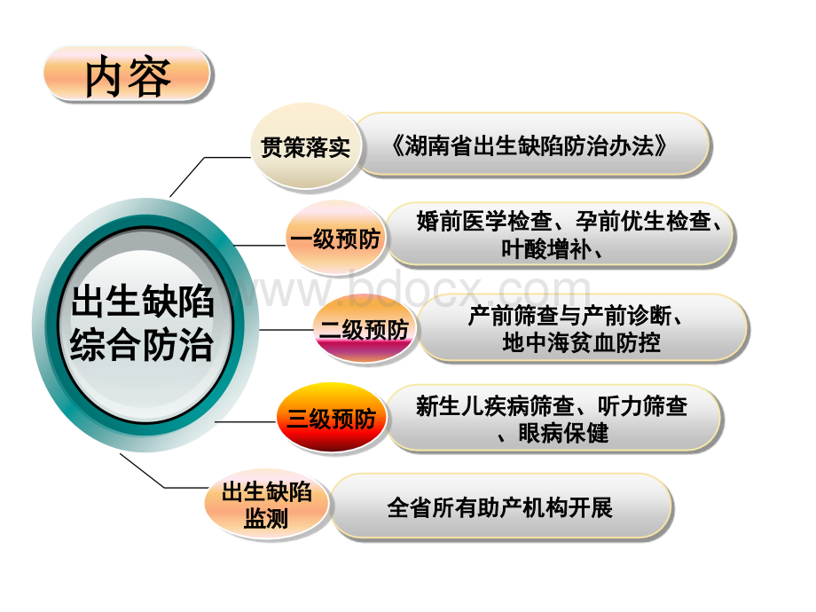 出生缺陷王华.ppt_第2页