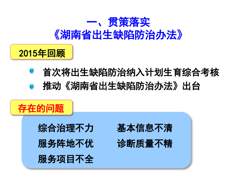 出生缺陷王华.ppt_第3页