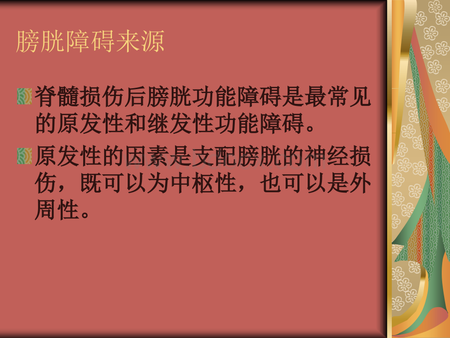 脊髓损伤后膀胱控制障碍的康复治疗_精品文档PPT课件下载推荐.ppt_第2页