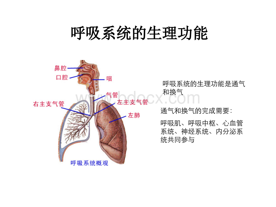 瑞能.ppt_第2页