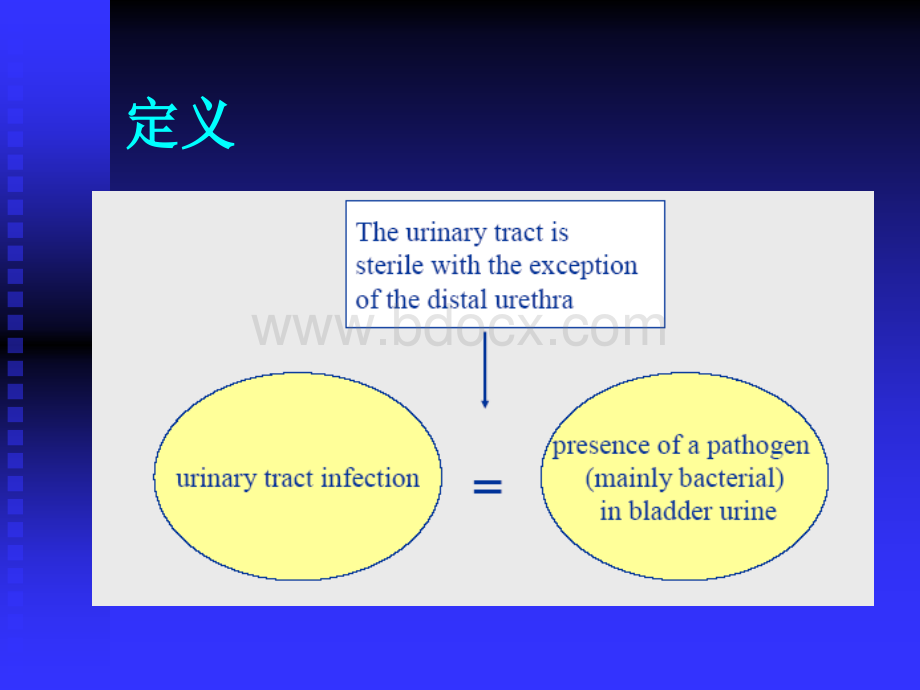 小儿尿路感染PPT格式课件下载.ppt_第2页