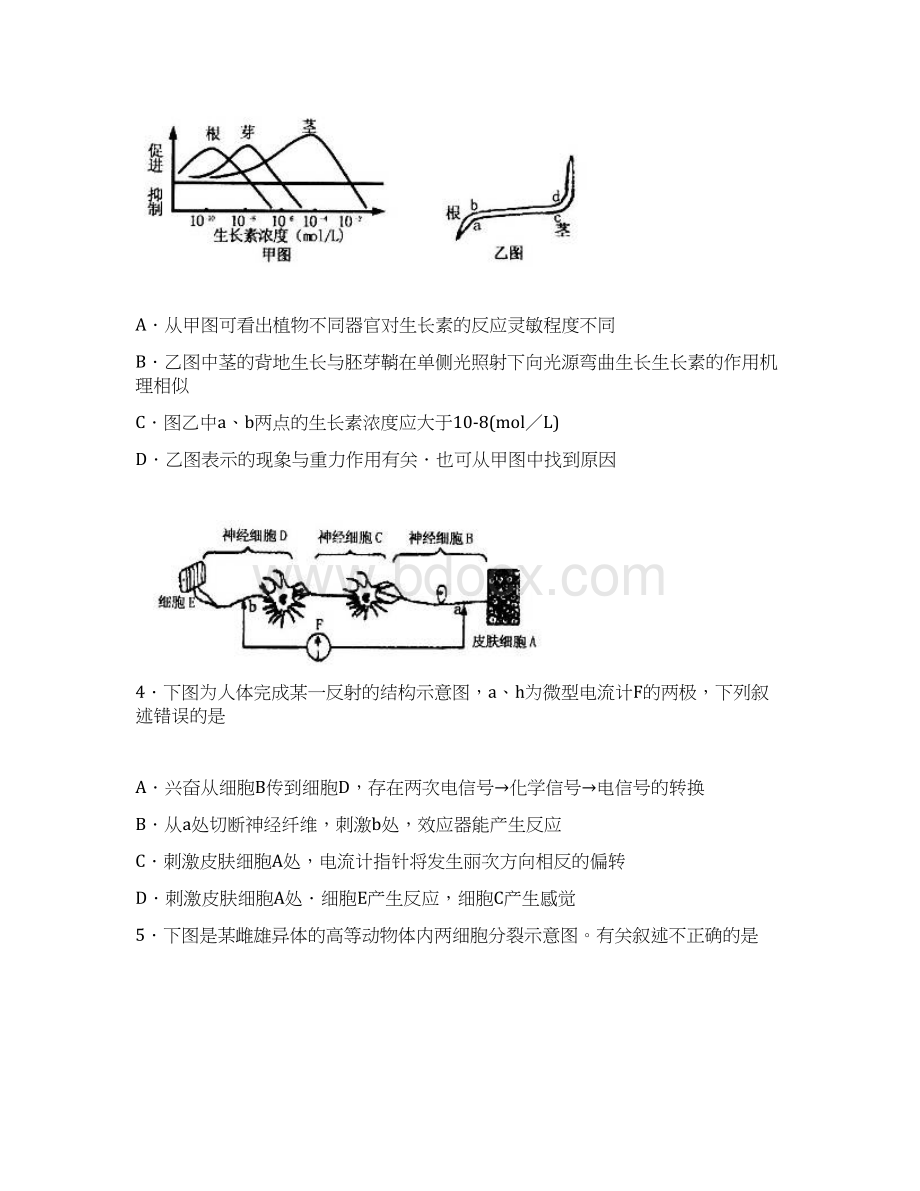 高三第一轮复习质量检测 理综生物试题 含答案Word文件下载.docx_第2页