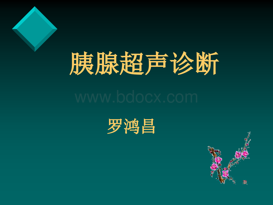 胰腺讲课幻灯t优质PPT.ppt_第2页