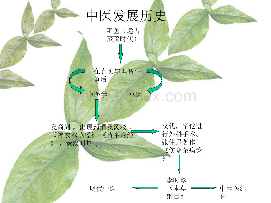 中医介绍ppt-课件PPT演示.ppt_第3页