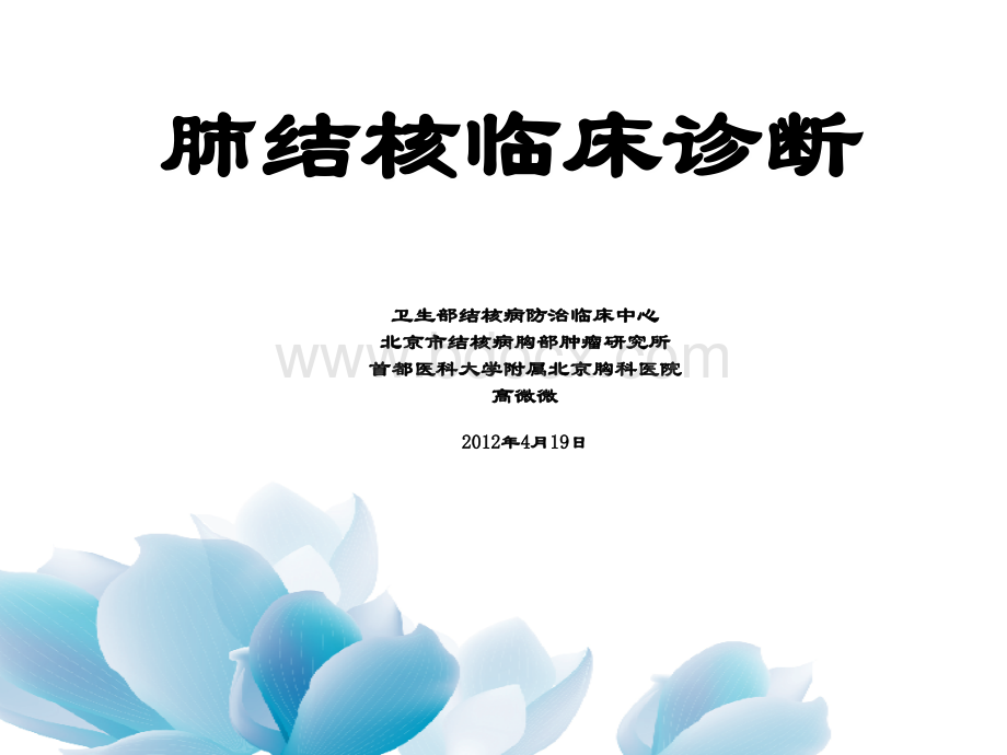 肺结核诊断4月19日PPT文档格式.ppt