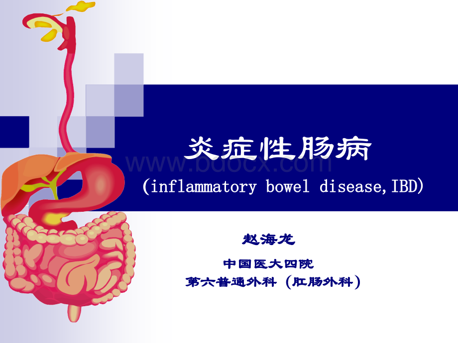 炎症性肠病赵海龙.ppt