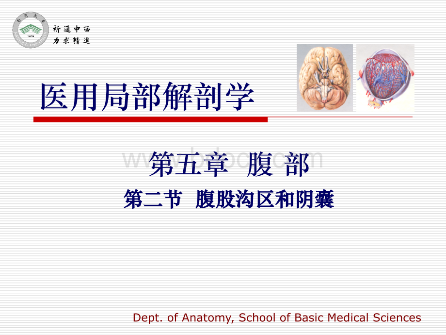 医用局部解剖学-腹股沟区和阴囊.ppt