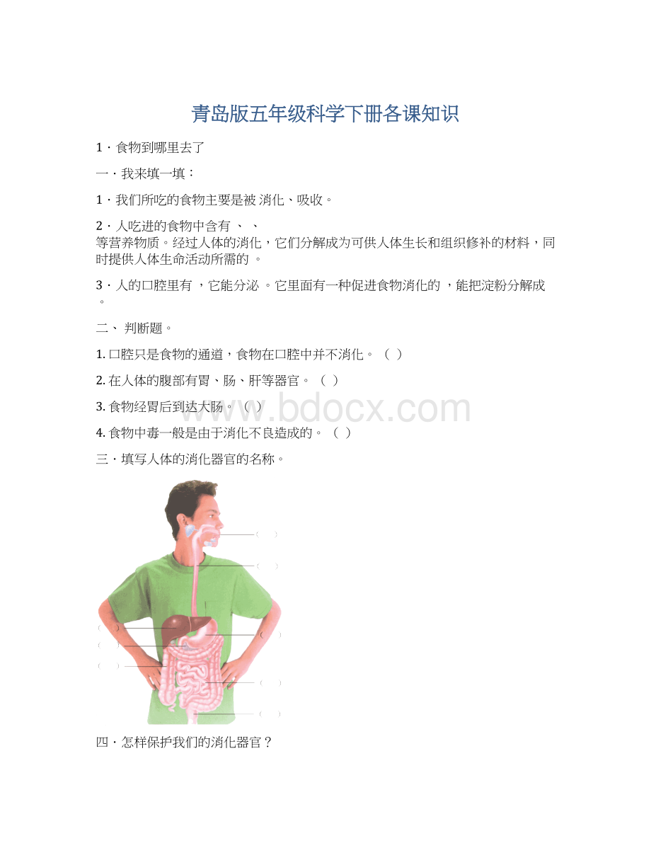 青岛版五年级科学下册各课知识.docx_第1页