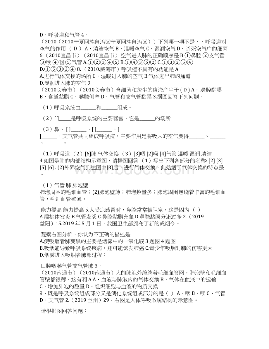 人的呼吸系统可编辑Word文件下载.docx_第3页